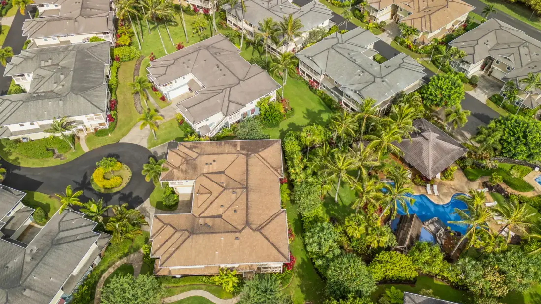 Vista aérea de viviendas y jardines, con una piscina entre palmeras.