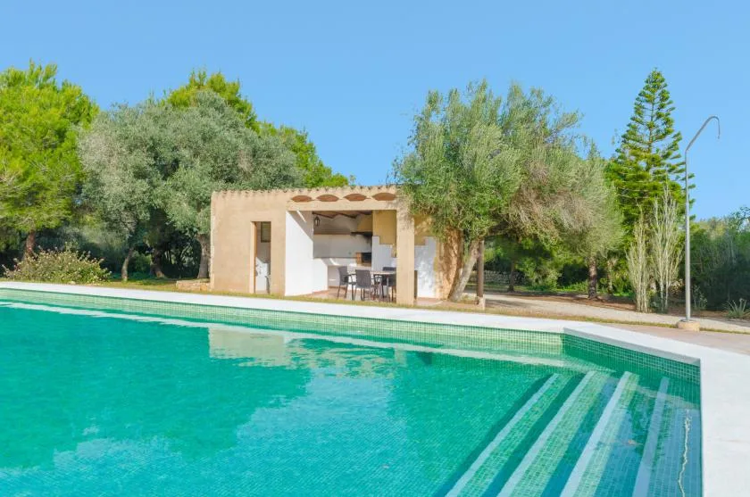 Una piscina al aire libre está frente a una pequeña casa rodeada de árboles.
