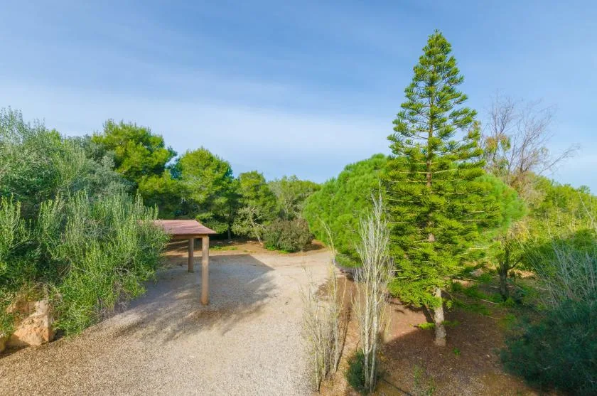 Un camino de grava atraviesa un jardín con arbustos y árboles altos.