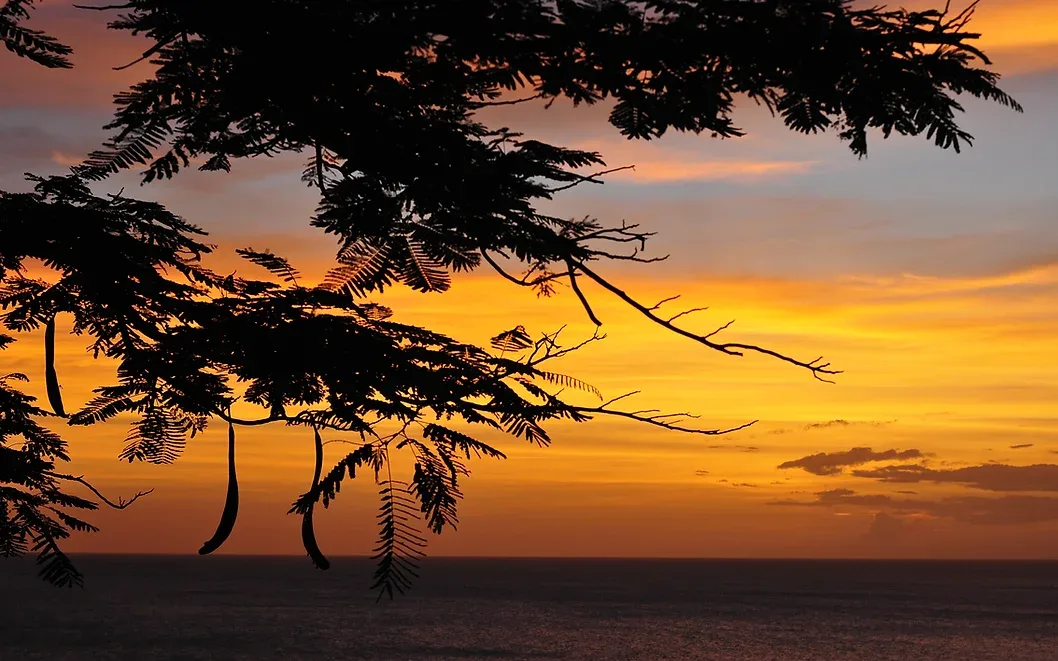 Vista del atardecer desde la casa principal