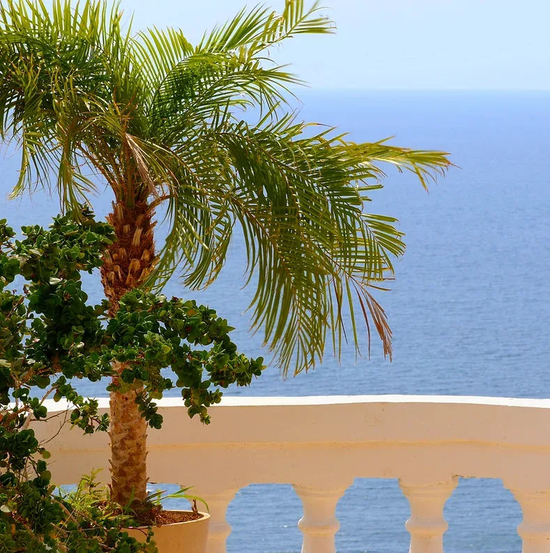 Vista desde el patio
