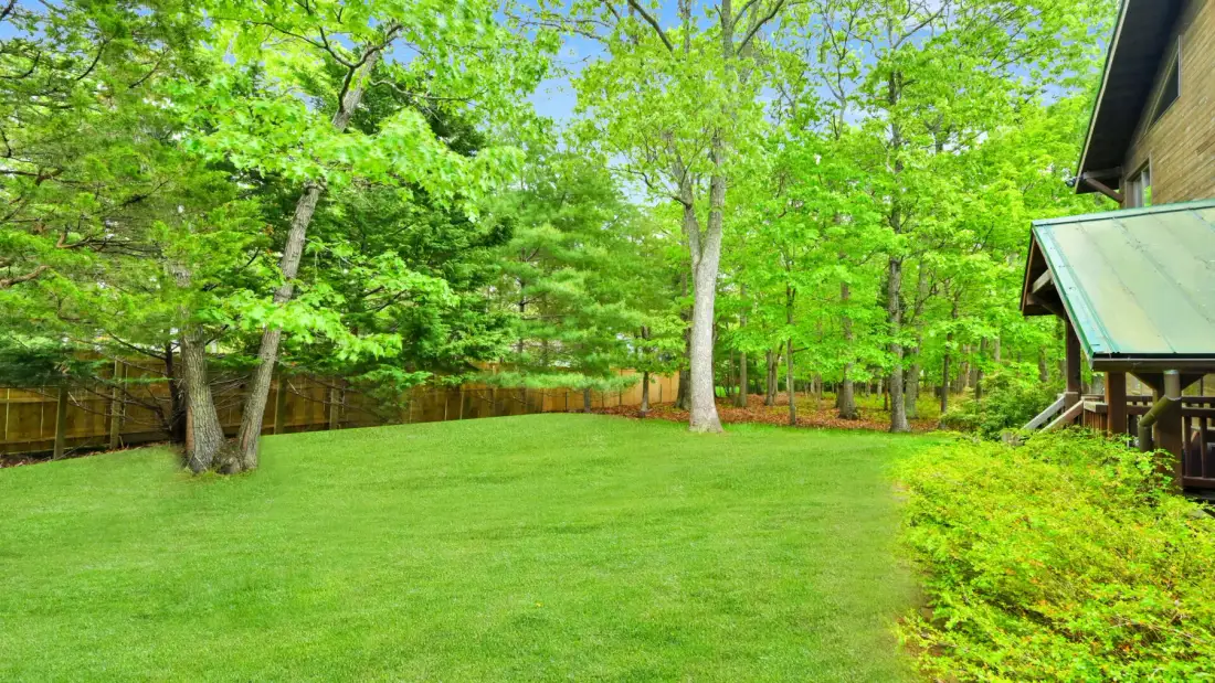 Un jardín de césped rodeado de árboles frondosos y una cerca de madera.