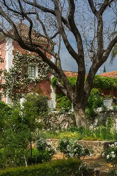 The house