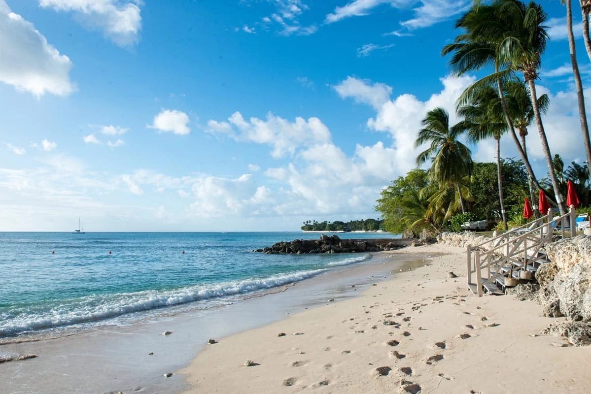 A sandy beach meets turquoise water beneath palm trees.