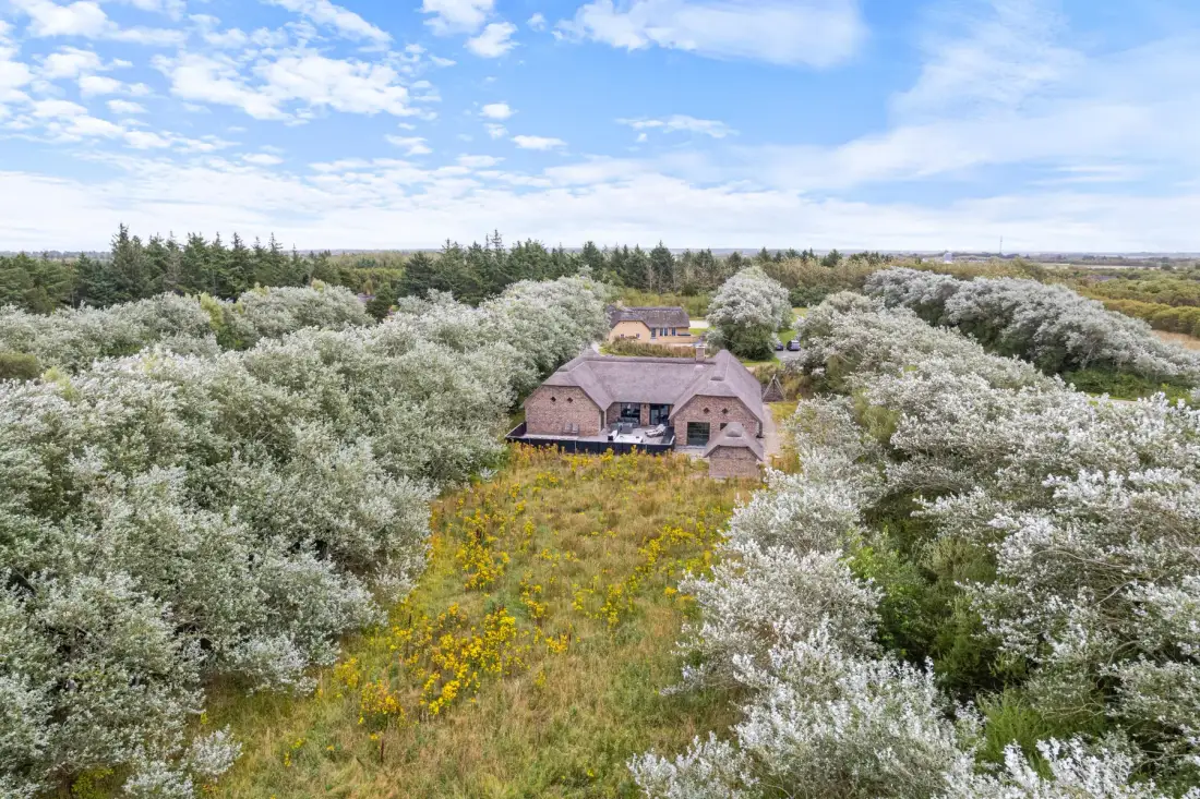 A house stands amid flowering trees and a grassy clearing beneath a blue sky.