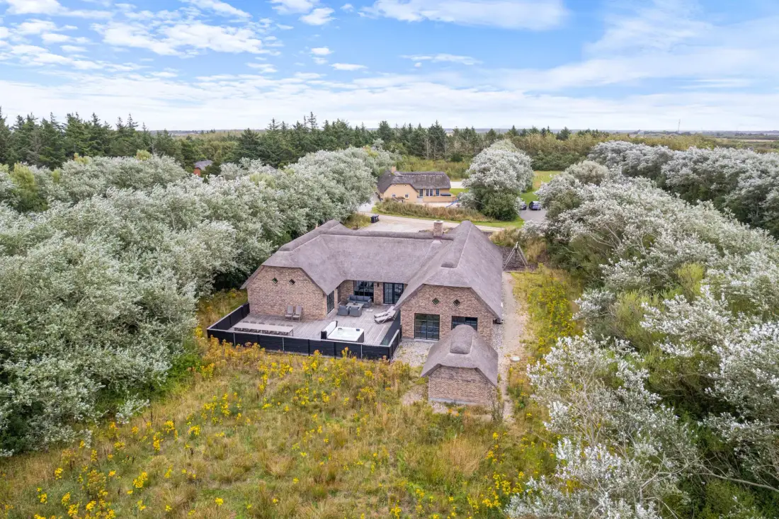 An aerial view of a brick house surrounded by trees and flowering shrubs.
