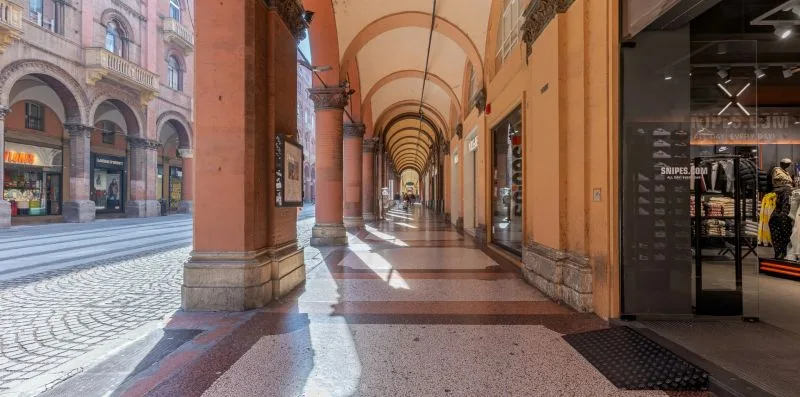 Una galería peatonal cubierta con techos arqueados y tiendas a lo largo del pasillo.