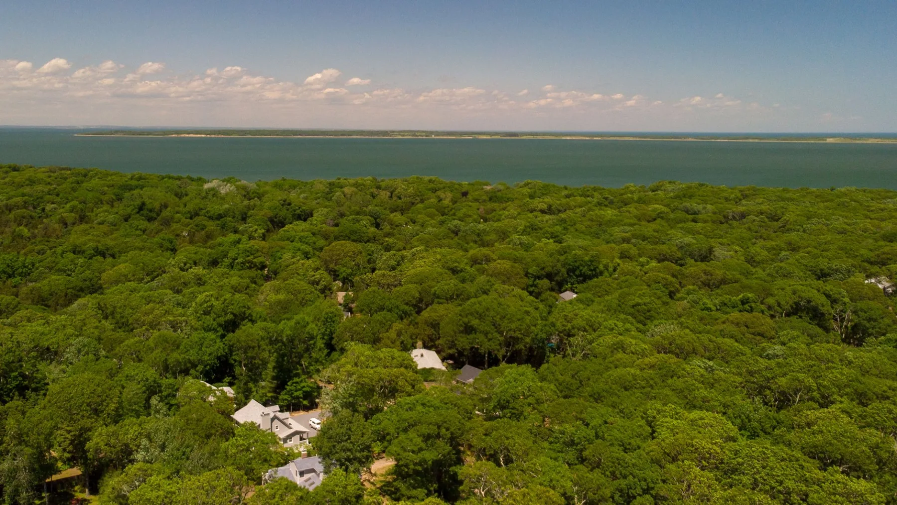 Vista aérea de una extensa cubierta forestal, con algunos edificios y agua al fondo.