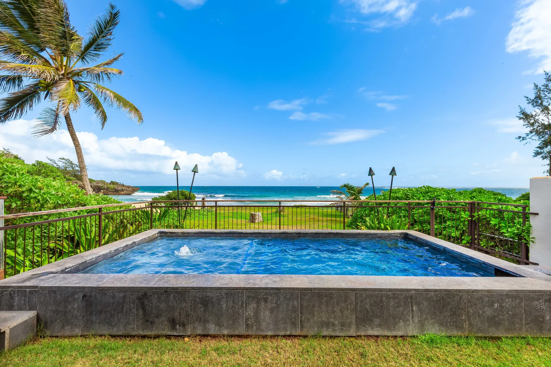 An outdoor pool overlooks the ocean, with palm trees and greenery nearby.