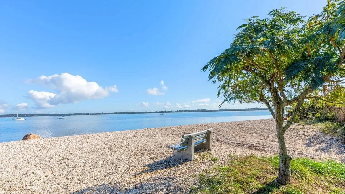 A sandy waterfront sits beside a bench and a leafy tree.