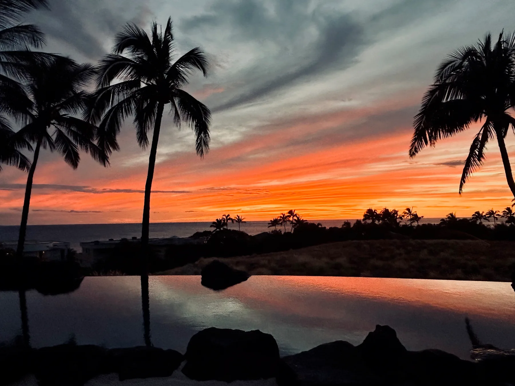 El cielo del atardecer se refleja en una piscina, con palmeras silueteadas en el horizonte.