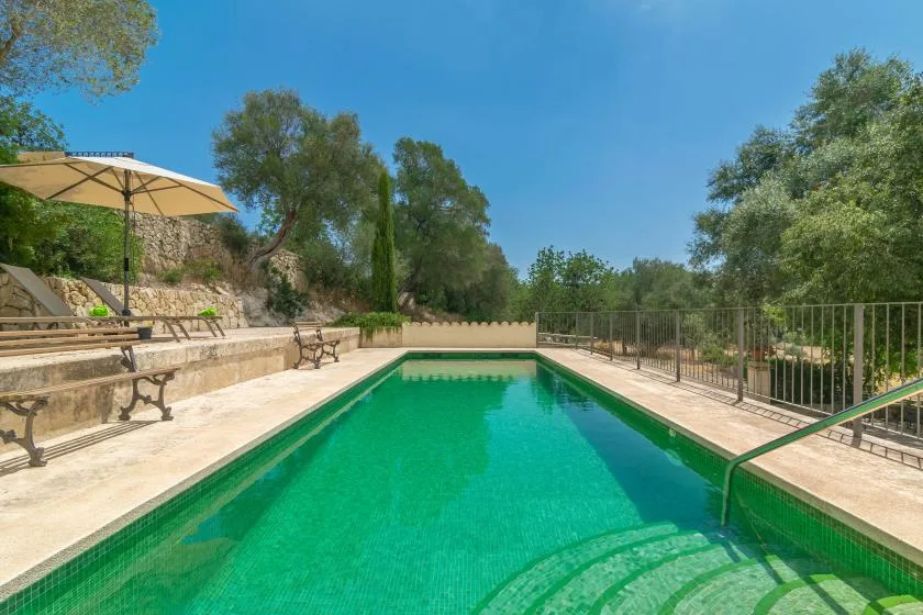 A rectangular swimming pool sits on a sunny outdoor terrace.