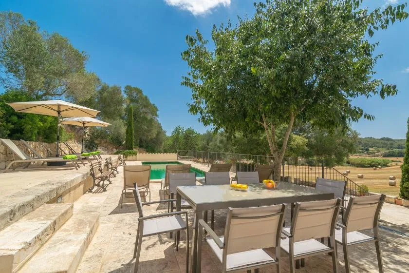 An outdoor dining patio with a table and seating beneath a leafy tree.