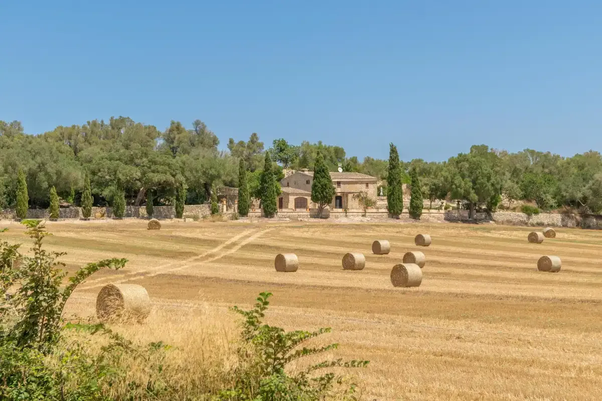 A rural landscape with a harvested field and a farmhouse in the distance.