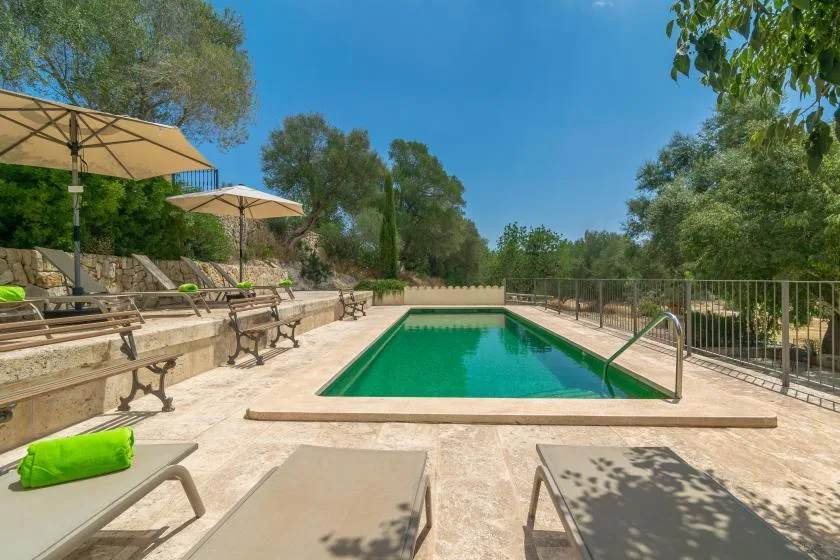 An outdoor swimming pool is surrounded by lounge seating, umbrellas, and trees.