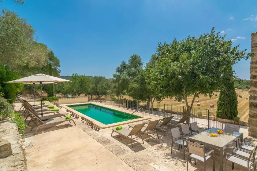 An outdoor pool patio with lounge seating and a dining table beside trees.