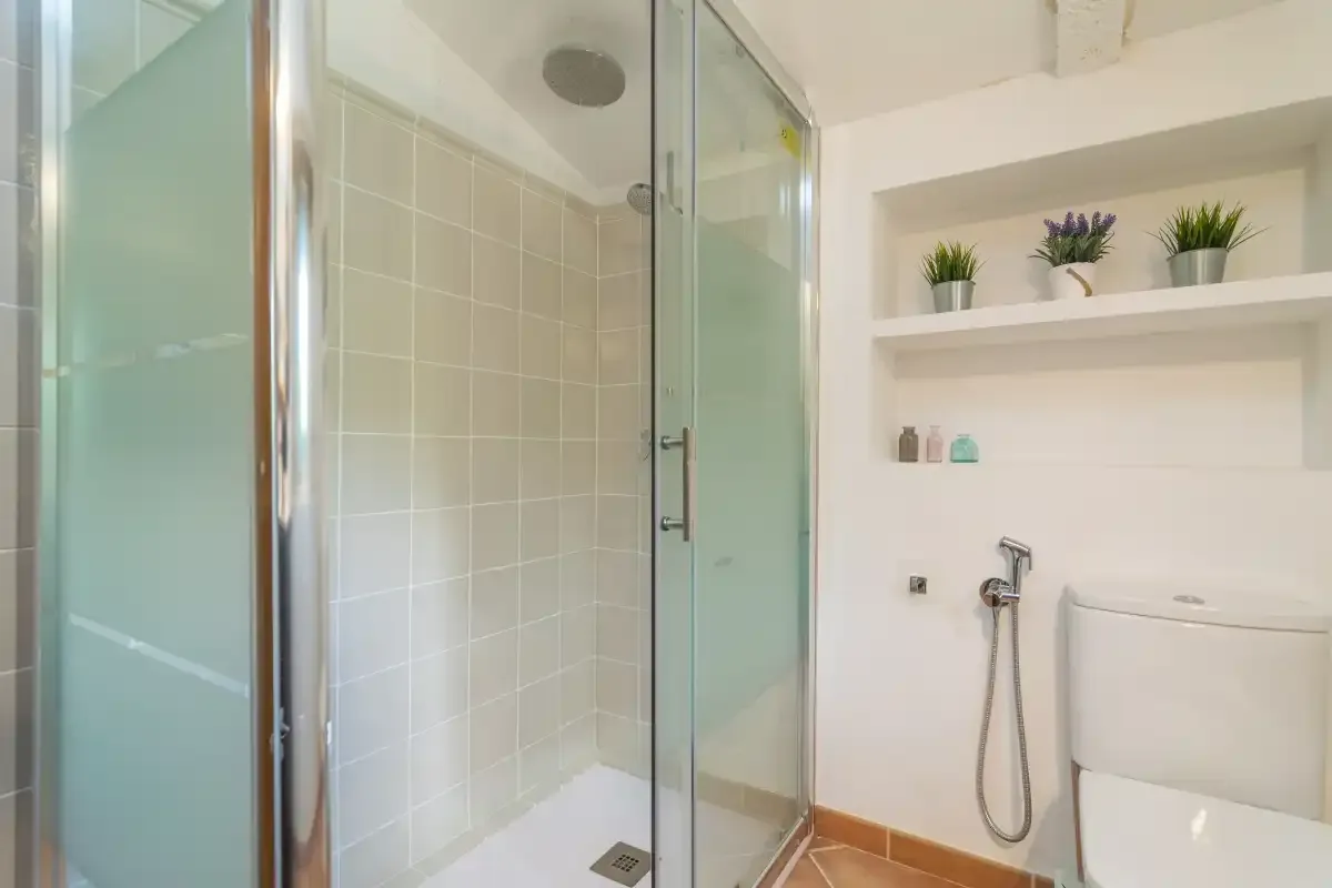 A bright bathroom has a glass shower and built-in shelves with small plants.