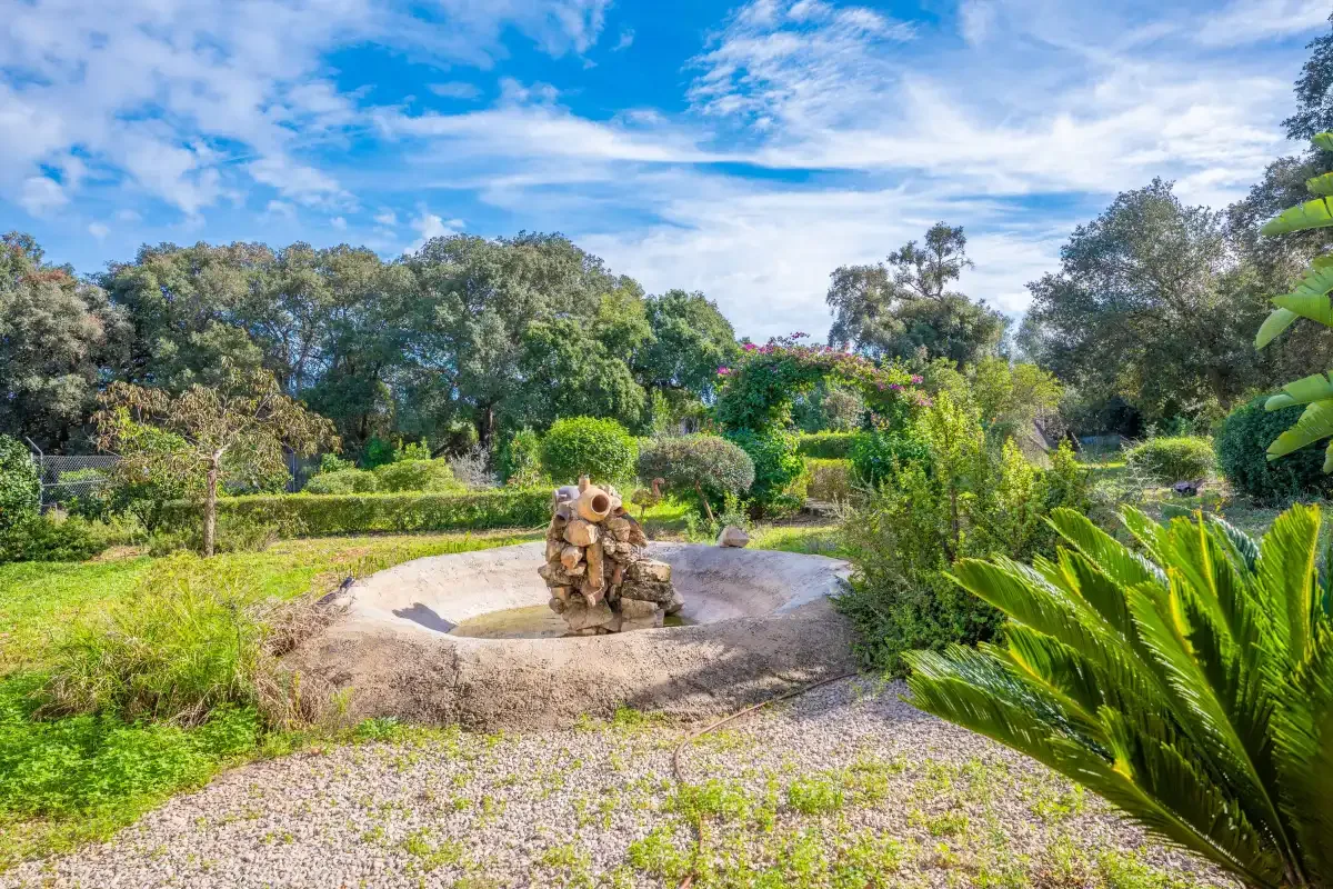 Un jardín ajardinado con una fuente circular de piedra rodeada de vegetación.