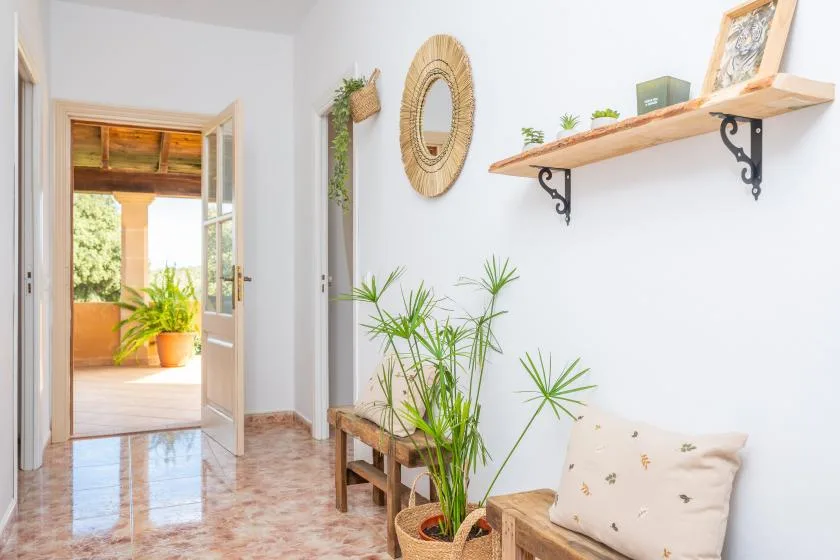 Un pasillo luminoso con una puerta abierta, plantas en macetas y un estante de pared.