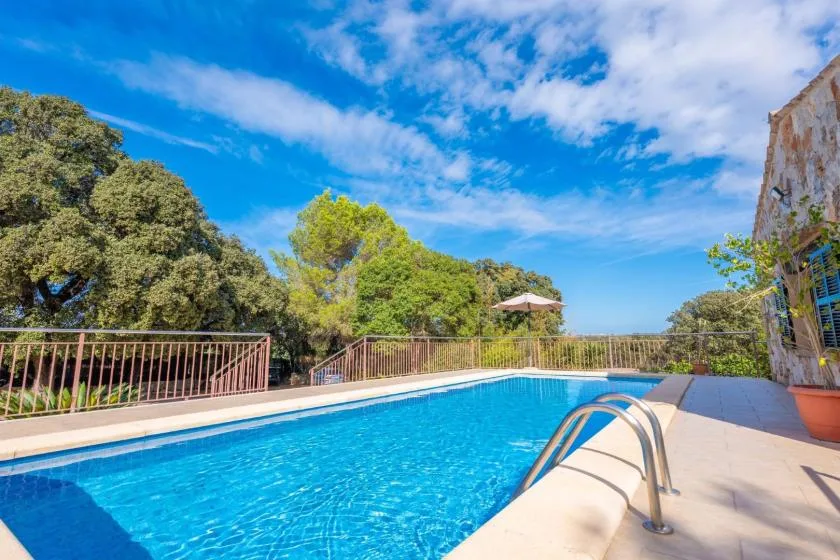 Una piscina al aire libre está junto a una terraza pavimentada y árboles.