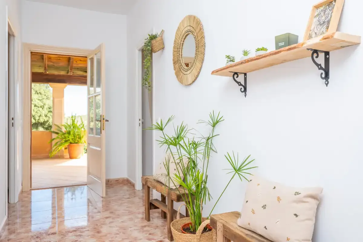 Un pasillo interior luminoso da a una habitación soleada, con plantas y un banco pequeño.