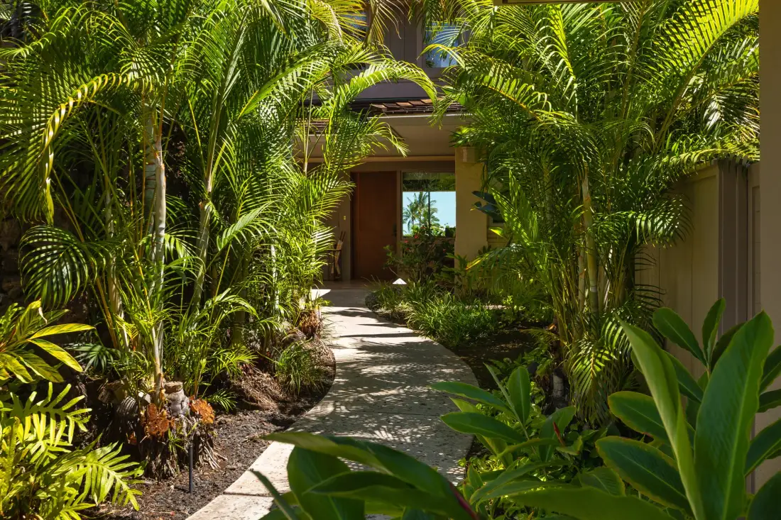 Un sendero de jardín atraviesa plantas tropicales frondosas hasta la entrada de un edificio.