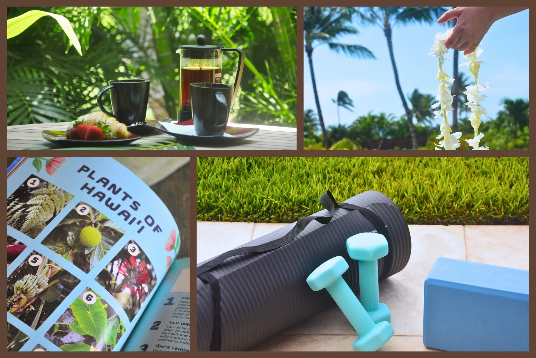 Escenas al aire libre muestran café, plantas tropicales, una guía y equipo de ejercicio.