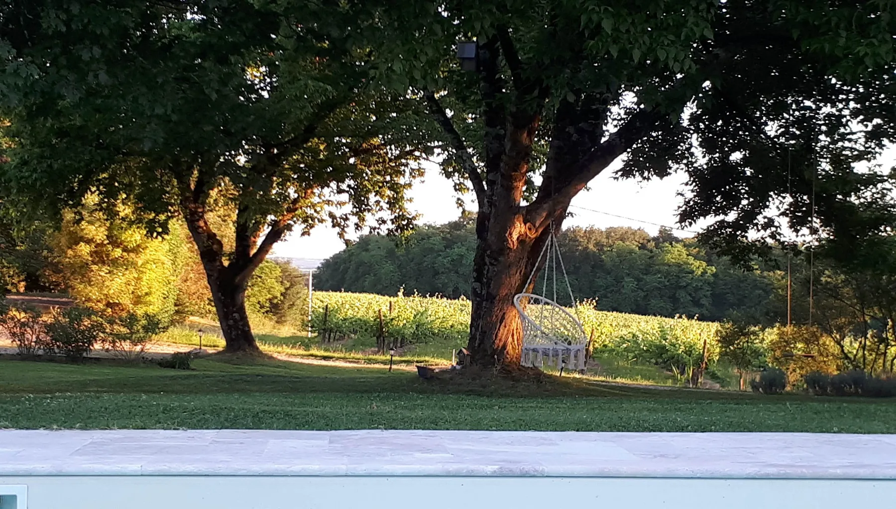 Vista de la piscina