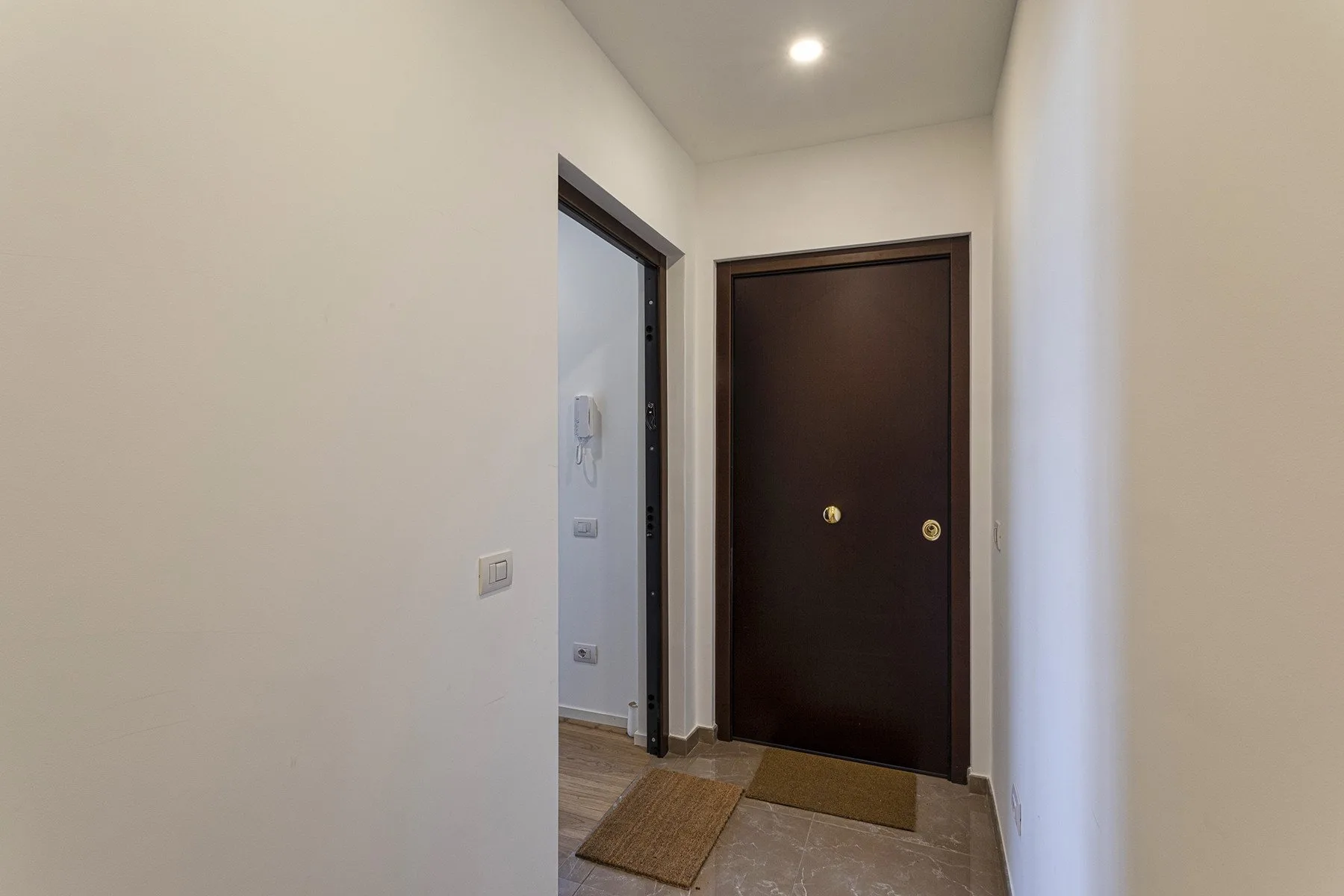 An interior entryway with a dark door and a small floor mat.