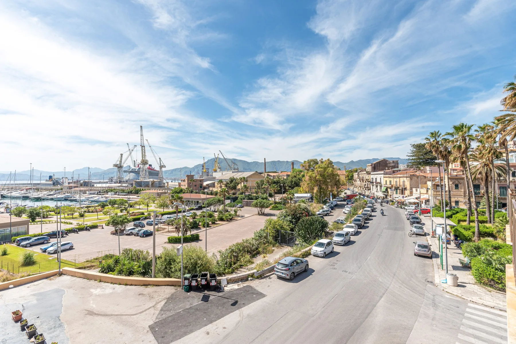 Una calle soleada junto al puerto da a una marina, con palmeras a lo largo de la vía.