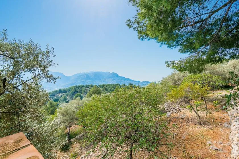 A hillside landscape with green trees and distant mountains beneath a clear sky.