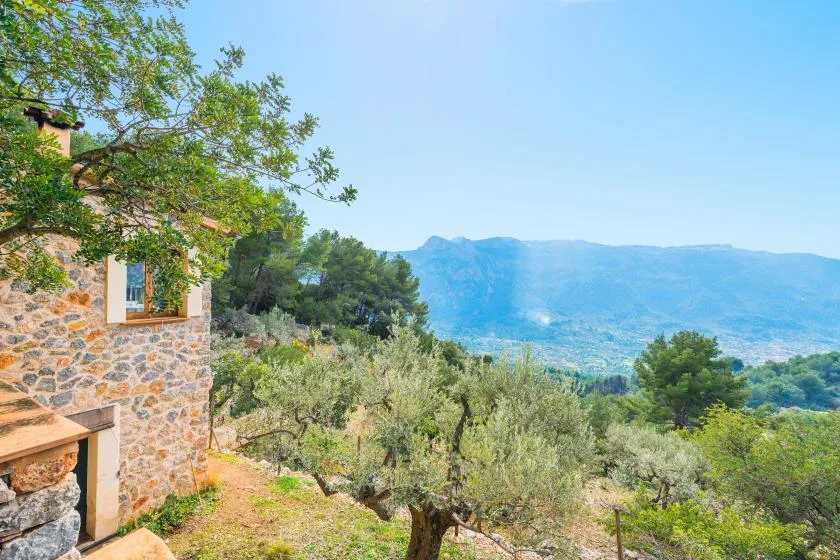 A stone house stands beside olive trees overlooking a mountain valley.