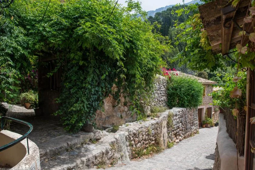 A stone-paved outdoor passage runs beside a low stone wall and leafy greenery.