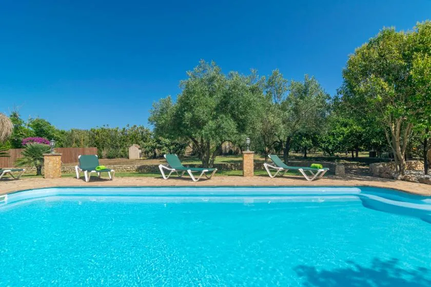 Una piscina está en un jardín con árboles y varias tumbonas.