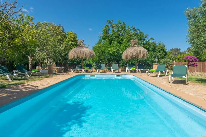 An outdoor swimming pool is surrounded by lounge chairs, trees, and thatched umbrellas.