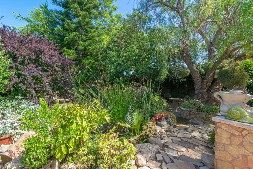 A garden path winds through lush greenery beside a stone fountain.