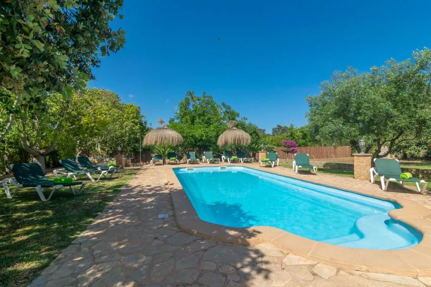 A swimming pool sits in a landscaped outdoor area with loungers and trees.