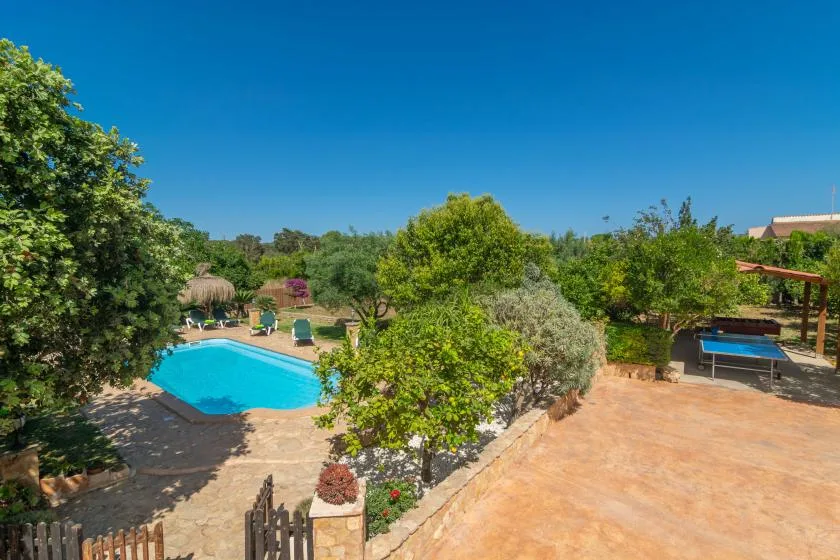 An outdoor pool area surrounded by trees and a paved patio.