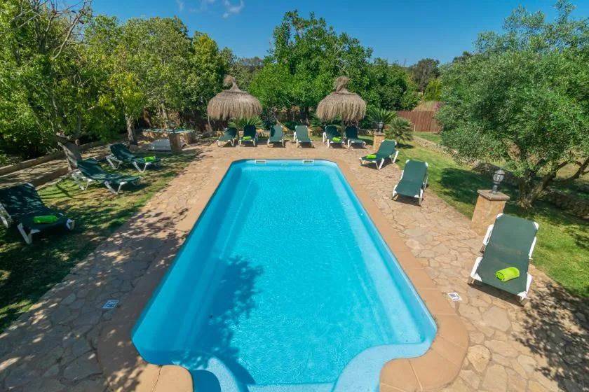 Una piscina al aire libre está rodeada de tumbonas y árboles.