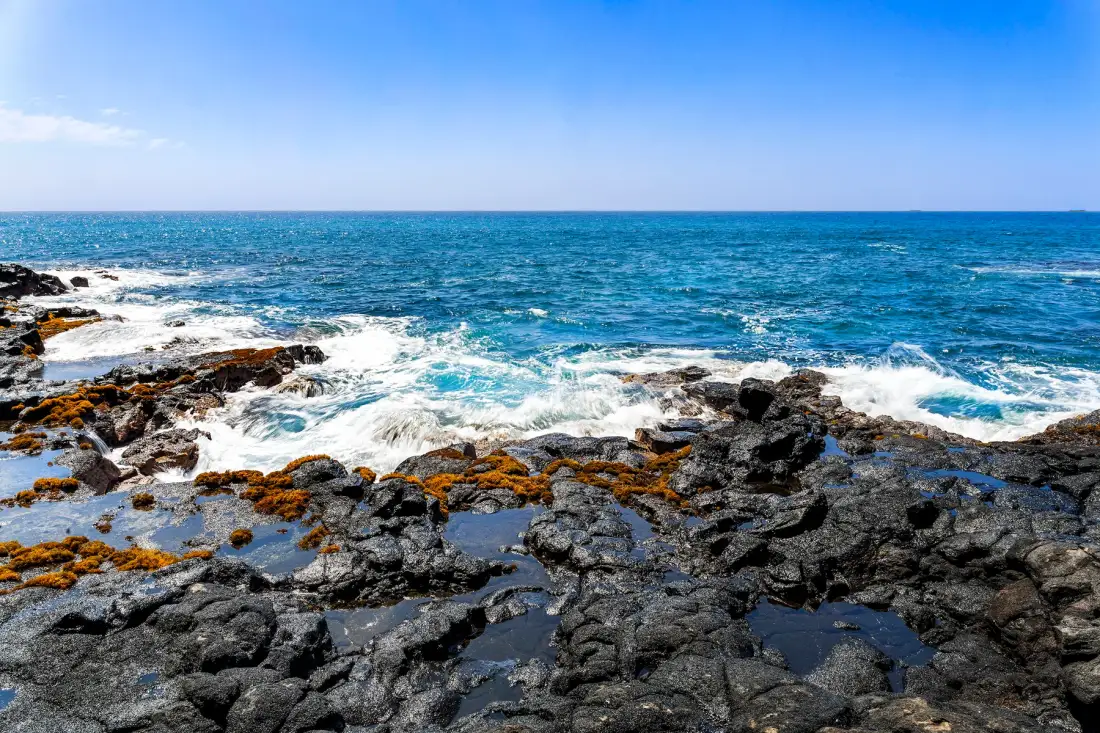 Costa rocosa con olas del océano rompiendo en la orilla.