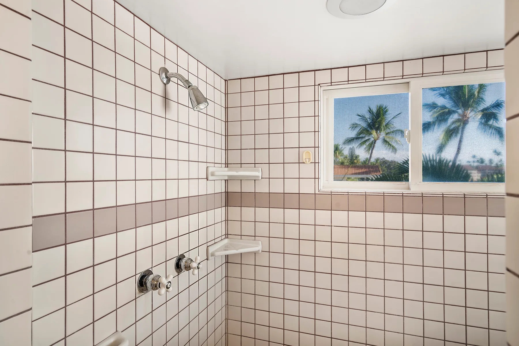 Un baño alicatado con ducha de pared y una ventana con palmeras a la vista.