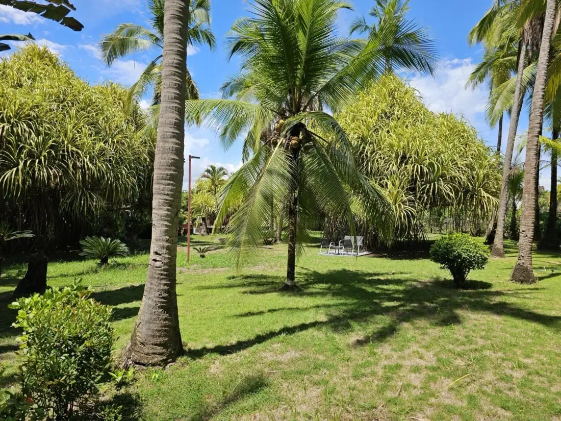 Jardín
