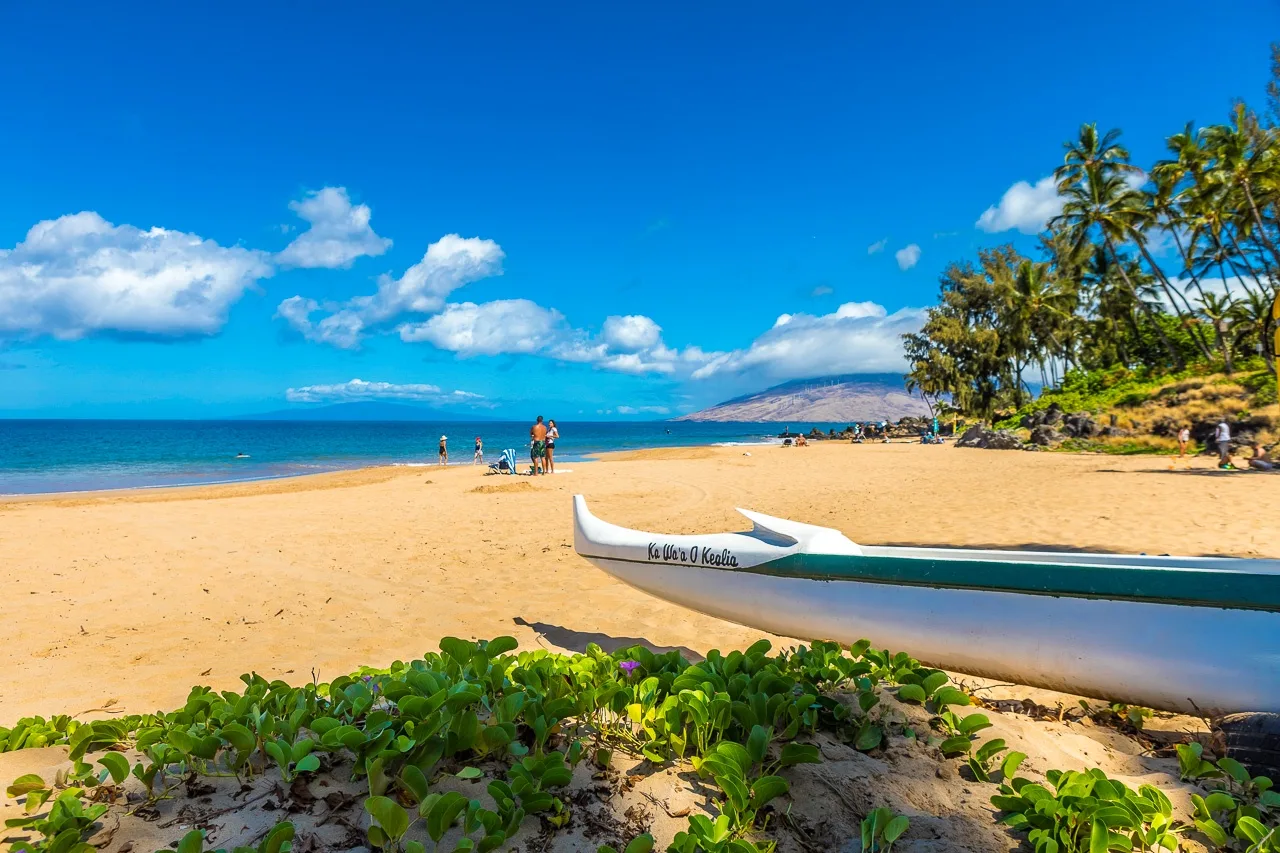 Una playa de arena junto a aguas azules tranquilas, con palmeras en la orilla.