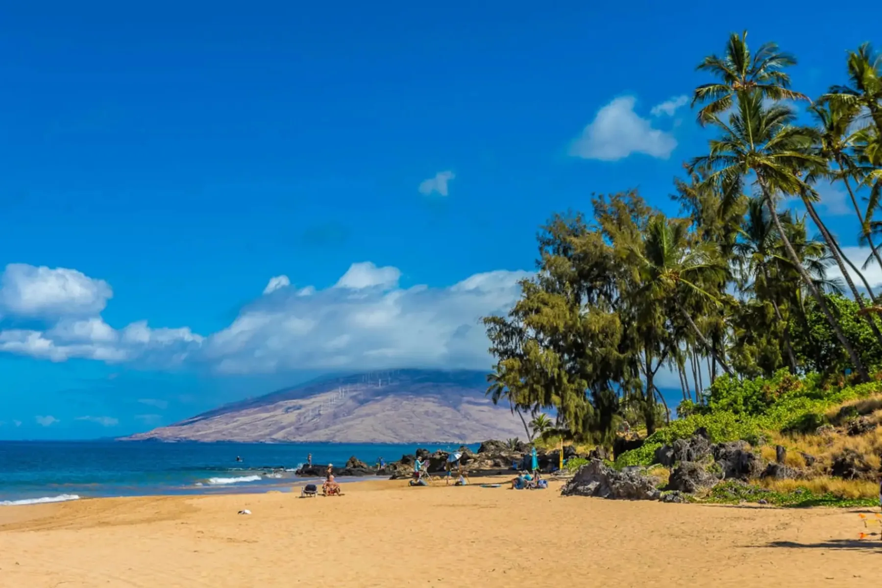 Una playa de arena con palmeras, agua del mar y una montaña a lo lejos.