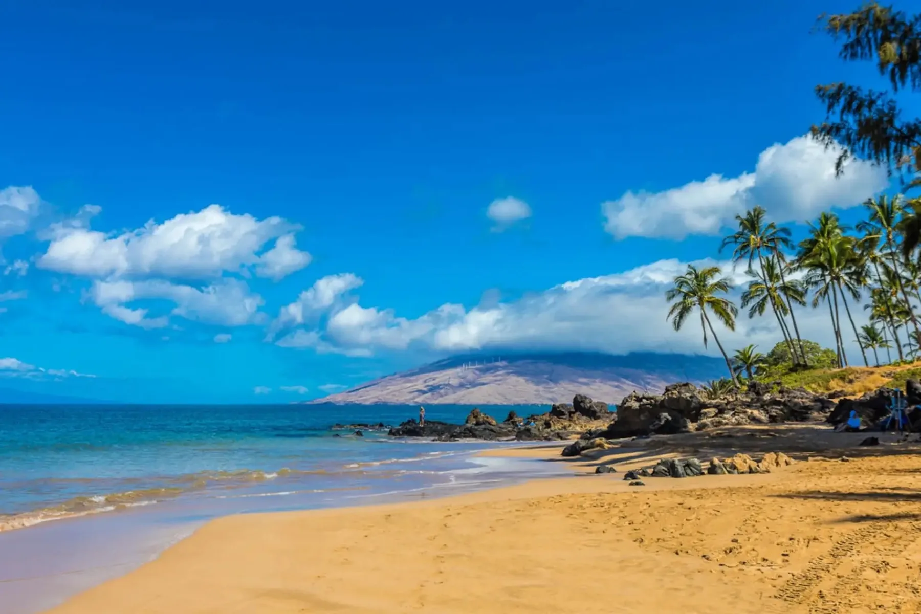 Una playa de arena junto al mar azul, con palmeras y una montaña a lo lejos.