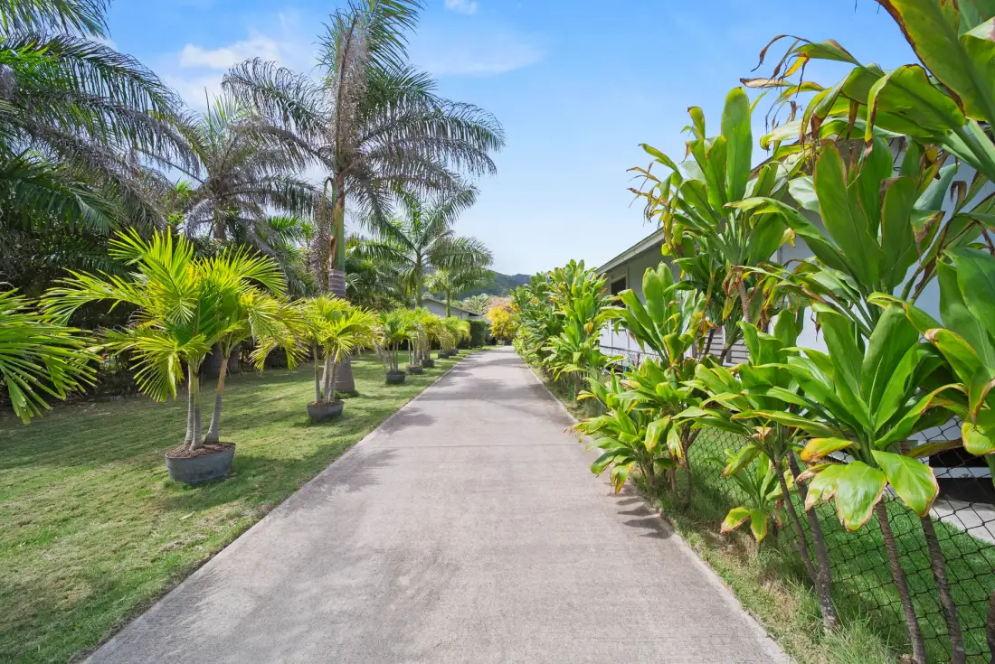 A paved path runs through landscaped grounds lined with palm trees and greenery.
