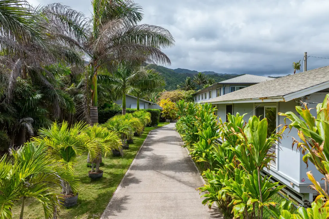 A paved walkway runs between tropical plants and low buildings.