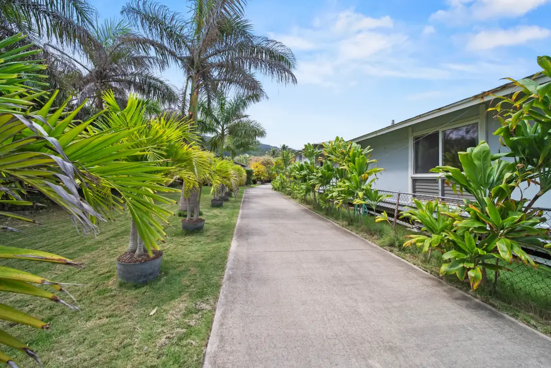 A paved walkway runs past tropical plants and a low building.