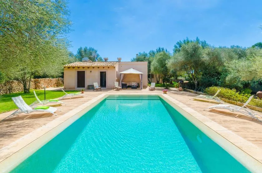 A swimming pool stretches toward a single-story house, with lounge seating along the paved sides.