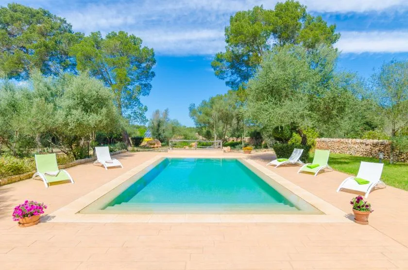 An outdoor swimming pool is surrounded by a paved deck and trees.